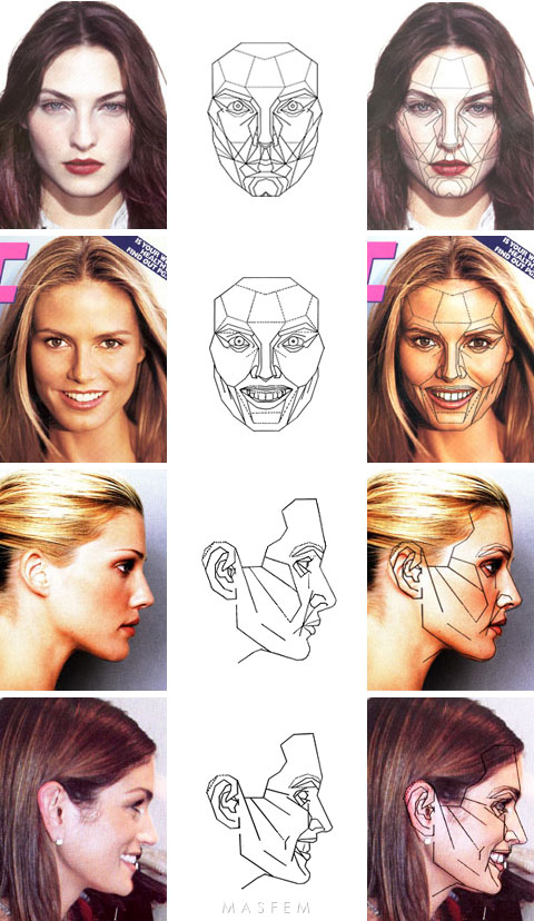 Идеальные пропорции лица