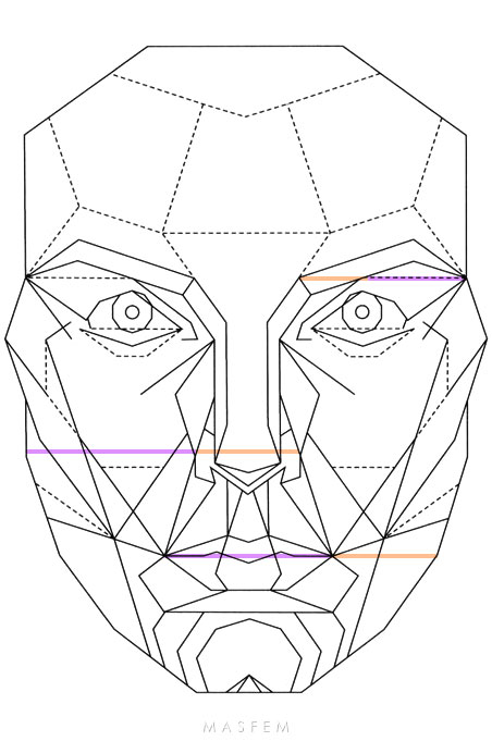 Идеальные пропорции лица