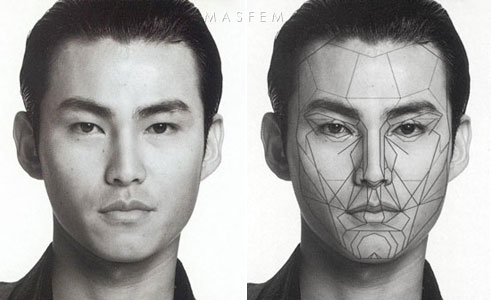 Идеальные пропорции лица