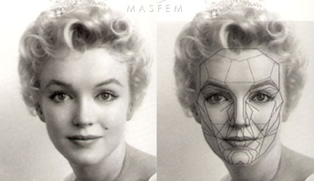 Идеальные пропорции лица