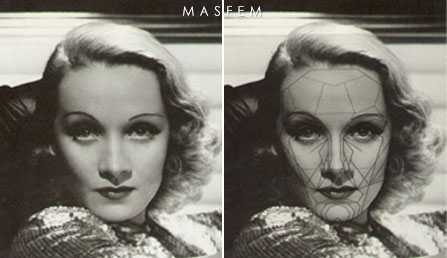 Идеальные пропорции лица