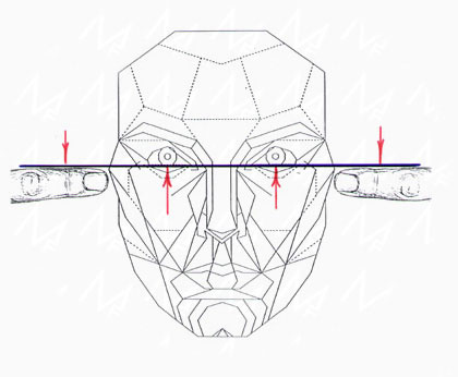 На сколько лицо соответствует идеальным пропорциям На сколько лицо соответствует идеальным пропорциям