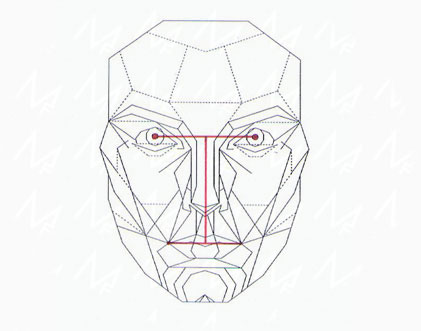 На сколько лицо соответствует идеальным пропорциям На сколько лицо соответствует идеальным пропорциям