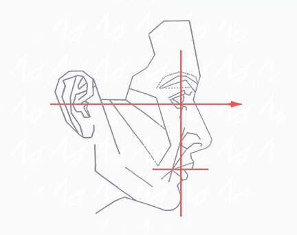 На сколько лицо соответствует идеальным пропорциям На сколько лицо соответствует идеальным пропорциям