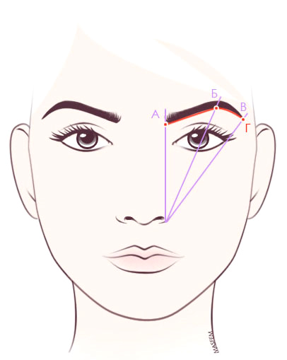 схема по выщипыванию бровей схема по выщипыванию бровей